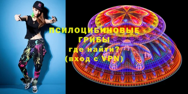 соль ск Михайловск