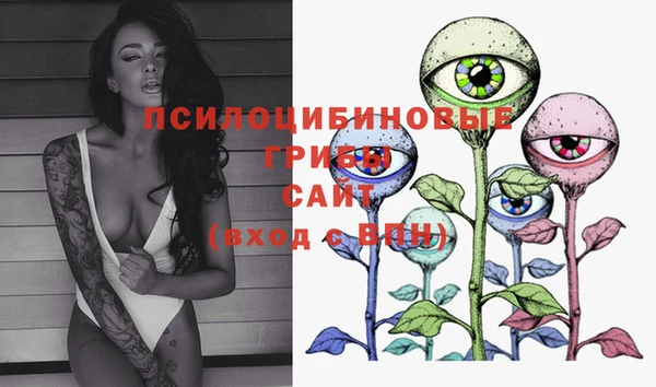 стафф Михайловка