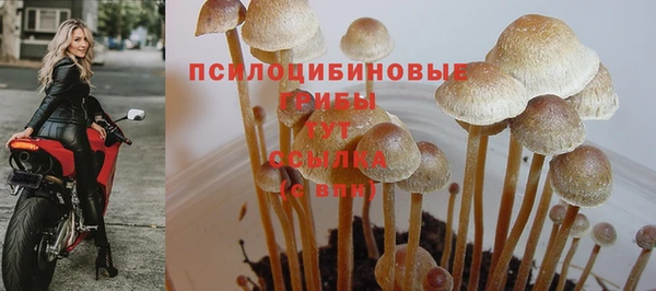 стафф Михайловка
